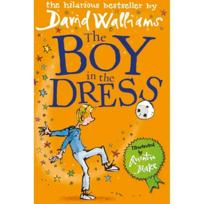 The Boy In The Dress