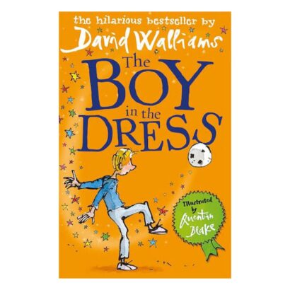 The Boy in the Dress